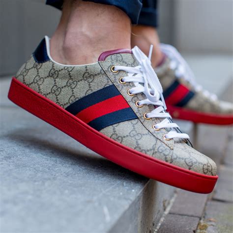 new arrivals Gucci ace